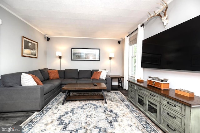 218 New Jersey Ave, Collingswood, NJ 08108 - living room featuring wood finished floors and ornamental molding
