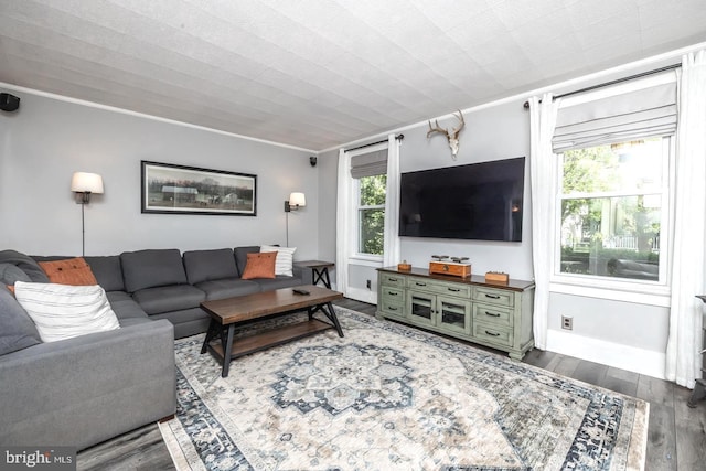 218 New Jersey Ave, Collingswood, NJ 08108 - living area featuring wood finished floors, plenty of natural light, and crown molding