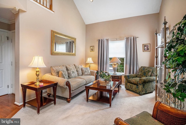 4033 Greenes Way Cir, Collegeville, PA 19426 - living room featuring high vaulted ceiling and light wood-type flooring