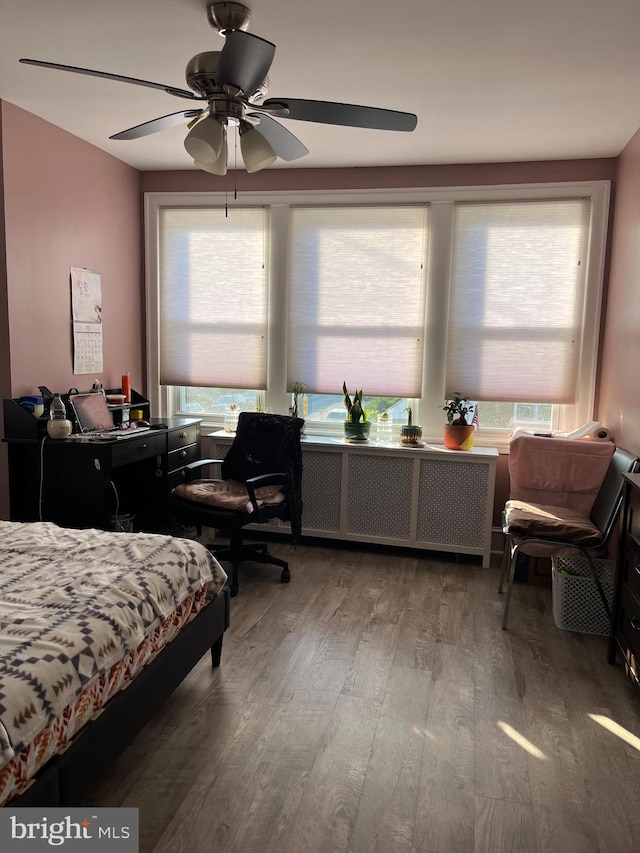 6001 N Mascher St, Philadelphia, PA 19120 - bedroom with wood finished floors, multiple windows, radiator heating unit, and a ceiling fan