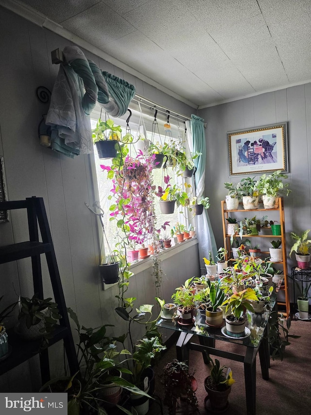 268 Market St, Carneys Point, NJ 08069 - detailed view of carpet floors and a decorative wall