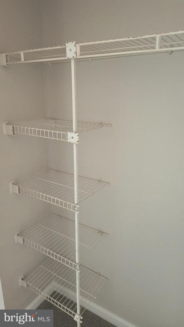 602 Moonglow Rd Unit 202, Odenton, MD 21113 - view of closet