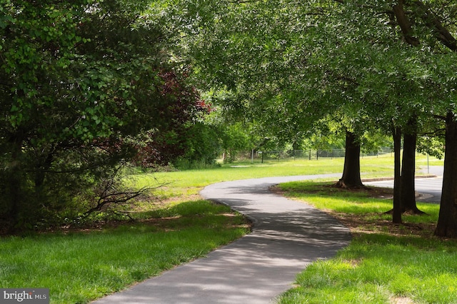 20976 Kittanning Ln, Ashburn, VA 20147 - view of community