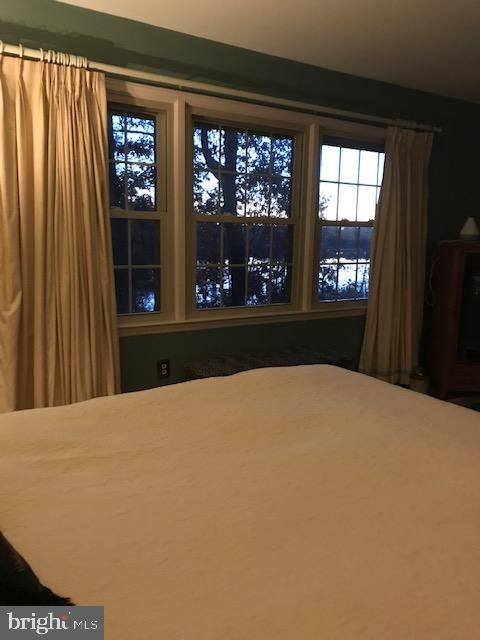 232 N Shore Ct, Seaford, DE 19973 - bedroom featuring multiple windows