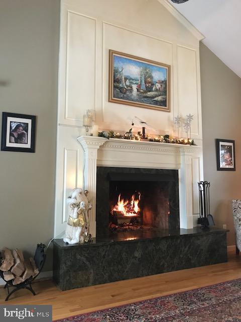 232 N Shore Ct, Seaford, DE 19973 - detailed view of wood finished floors and a lit fireplace