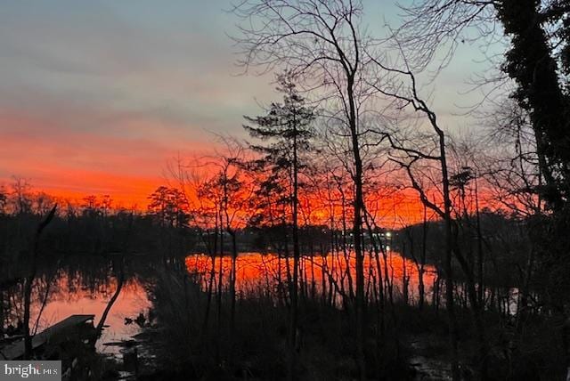 232 N Shore Ct, Seaford, DE 19973 - water view with a heavily wooded area