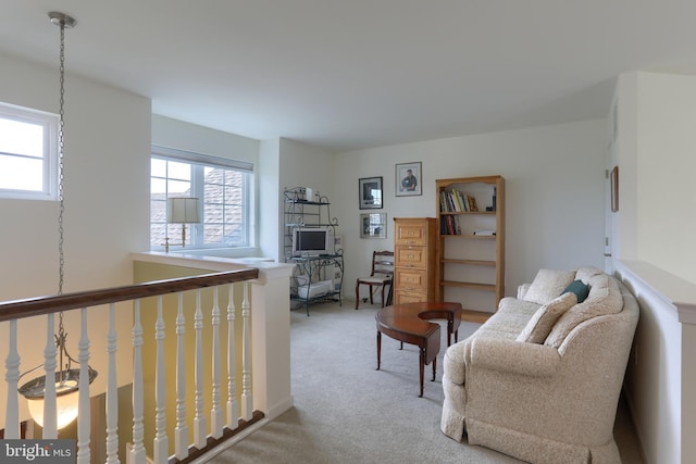 126 Windermere Dr, Palmyra, PA 17078 - sitting room with carpet flooring and healthy amount of natural light