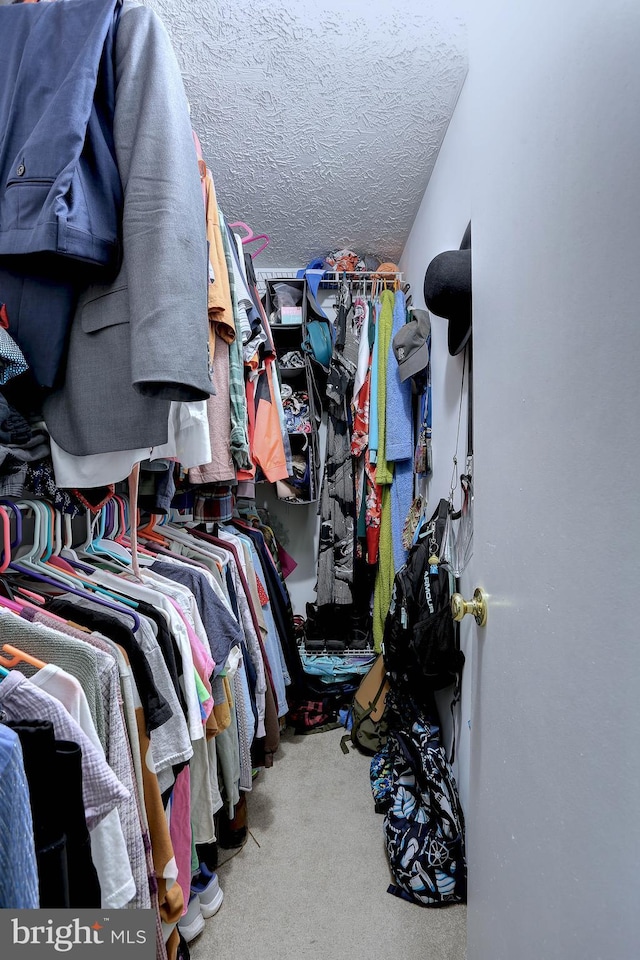 3574 Brickwall Ln, Pasadena, MD 21122 - walk in closet with carpet