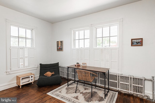 510 E Main St, Birdsboro, PA 19508 - office with plenty of natural light, wood finished floors, and baseboards
