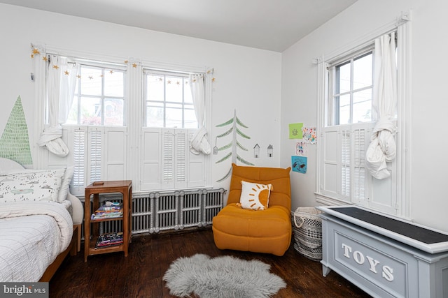 510 E Main St, Birdsboro, PA 19508 - bedroom featuring wood finished floors