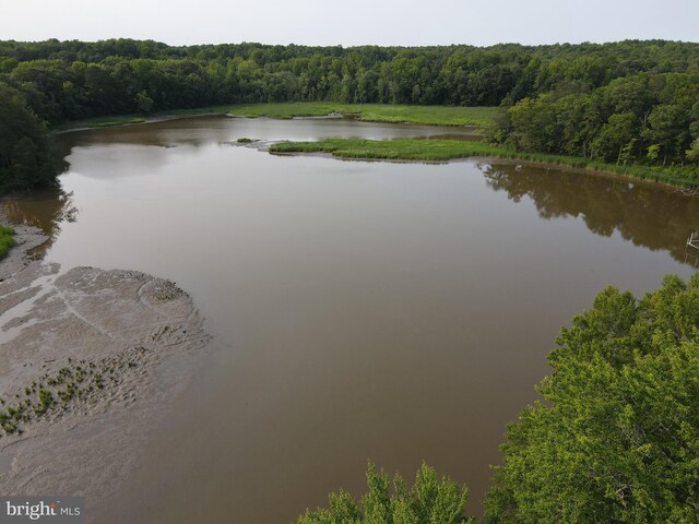 1780 Twirly Ct, Prince Frederick, MD 20678 - water view with a forest