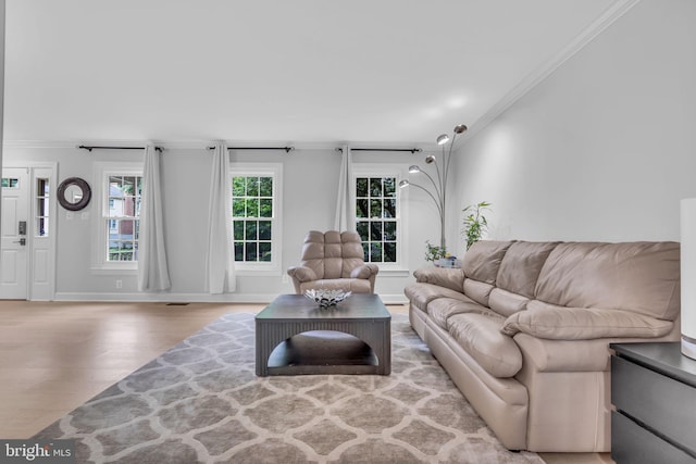1606 Montmorency Dr, Vienna, VA 22182 - living area featuring ornamental molding, wood finished floors, and baseboards