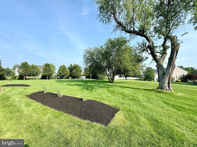 324 W Orchard Dr, Palmyra, PA 17078 - view of community featuring a yard