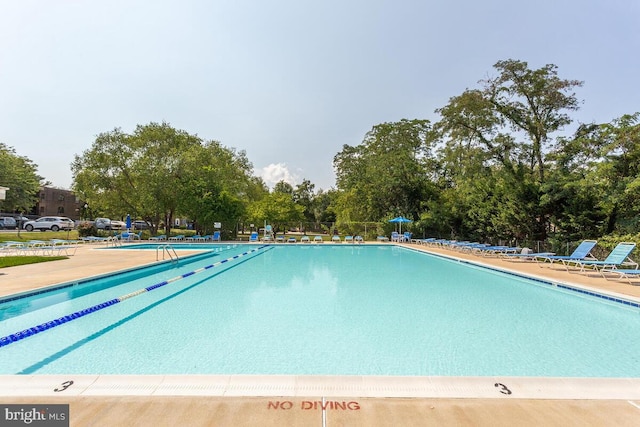 9 Silverwood Cir Unit 6, Annapolis, MD 21403 - view of community pool