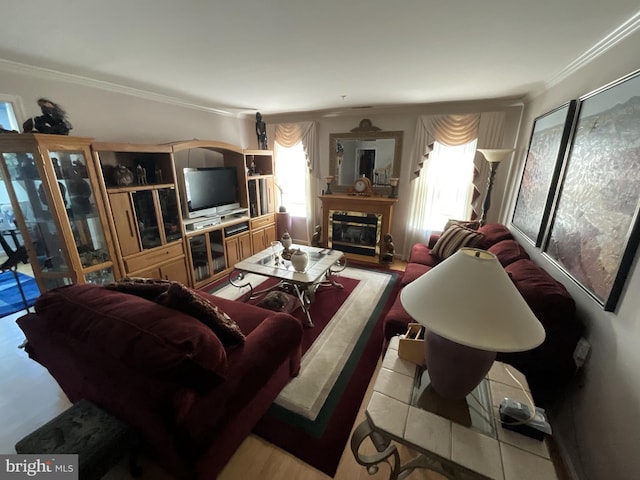 7324 Summerwind Cir, Laurel, MD 20707 - living room with ornamental molding, a glass covered fireplace, and healthy amount of natural light
