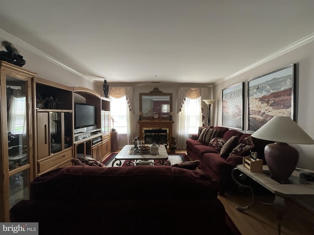 7324 Summerwind Cir, Laurel, MD 20707 - living area with ornamental molding and a glass covered fireplace