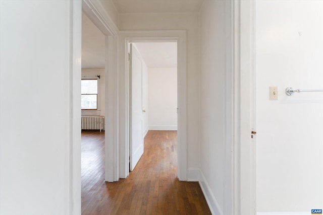 1316 Chesapeake St, Charlottesville, VA 22902 - hall featuring radiator, hardwood / wood-style floors, and baseboards