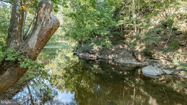 11332 Dutchmans Creek Rd, Lovettsville, VA 20180