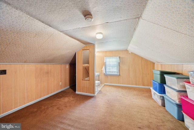 39 Stoney Run Rd, Wilmington, DE 19809 - bonus room with carpet, wood walls, vaulted ceiling, and baseboards