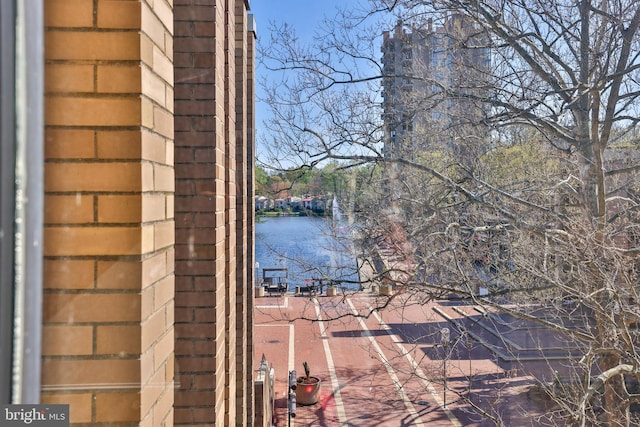 1602 Chimney House Rd Unit 1602, Reston, VA 20190 - water view