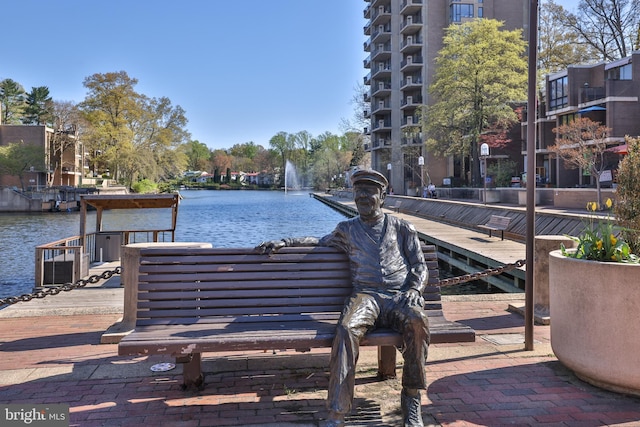 1602 Chimney House Rd Unit 1602, Reston, VA 20190 - dock area with a water view