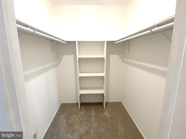 6 Kent Pl, Sewell, NJ 08080 - walk in closet featuring carpet floors