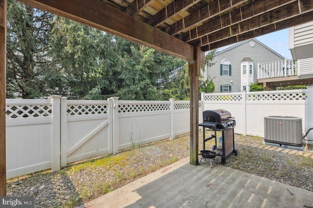 302 Berkshire, Princeton, NJ 08540 - fenced backyard with grilling area and a patio area