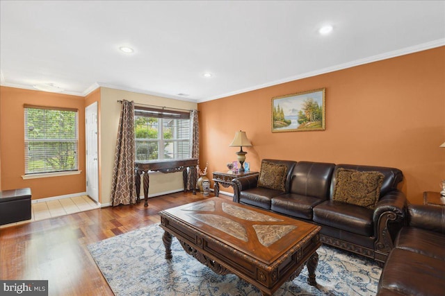 302 Berkshire, Princeton, NJ 08540 - living room featuring healthy amount of natural light, crown molding, wood finished floors, and recessed lighting