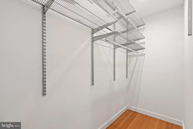 4834 8th St S, Arlington, VA 22204 - walk in closet featuring light wood-style flooring