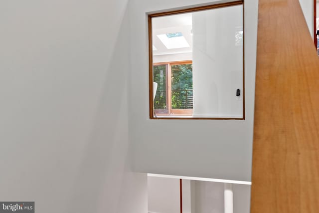 4834 8th St S, Arlington, VA 22204 - detailed view of a skylight