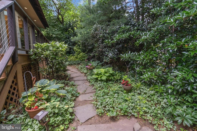 4834 8th St S, Arlington, VA 22204 - view of yard