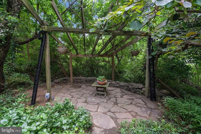 4834 8th St S, Arlington, VA 22204 - view of patio