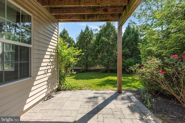 2316 Macis Cir, Warrington, PA 18976 - view of patio