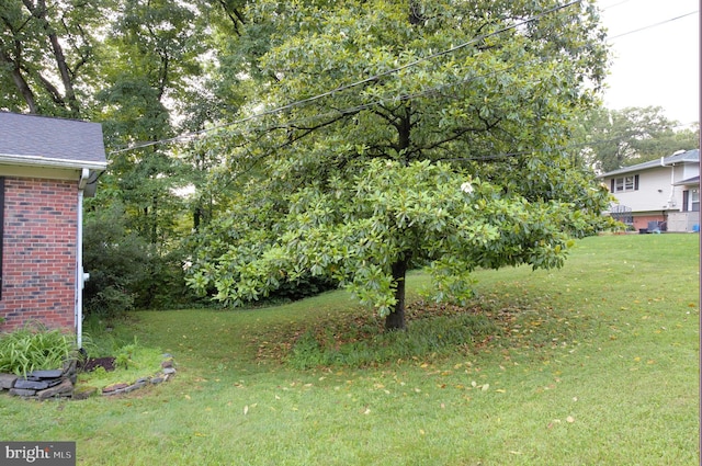 6403 Limerick Ct, Springfield, VA 22152 - view of green lawn