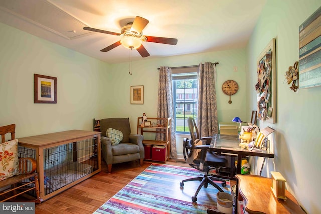1688 W Commonwealth Dr, Front Royal, VA 22630 - home office with ceiling fan and wood finished floors