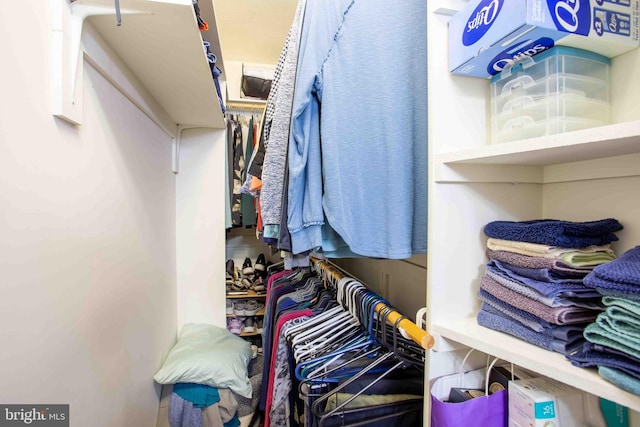 1688 W Commonwealth Dr, Front Royal, VA 22630 - view of walk in closet