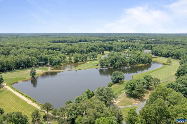 7 Sand Trap Ter, Palmyra, VA 22963 - bird's eye view of a nearby body of water and a heavily wooded area