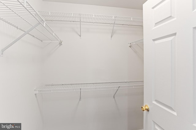 2504 Shelley Cir Unit 1B, Frederick, MD 21702 - view of spacious closet