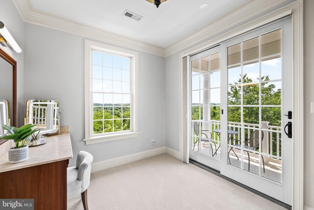 5835 Ridgeview Dr, Doylestown, PA 18902 - home office with ornamental molding, baseboards, and carpet flooring