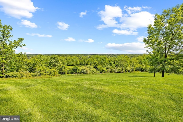 5835 Ridgeview Dr, Doylestown, PA 18902 - view of yard with a view of trees