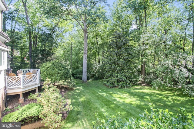 11801 Glen Mill Rd, Potomac, MD 20854 - view of green lawn featuring a wooden deck