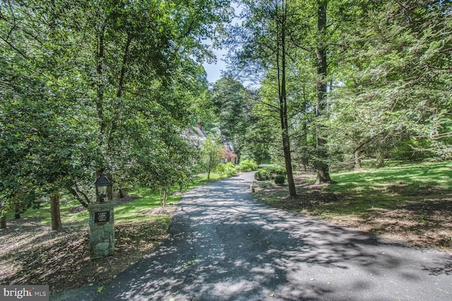 11801 Glen Mill Rd, Potomac, MD 20854 - view of road