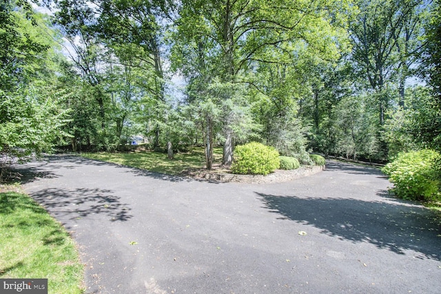 11801 Glen Mill Rd, Potomac, MD 20854 - view of street with a view of trees