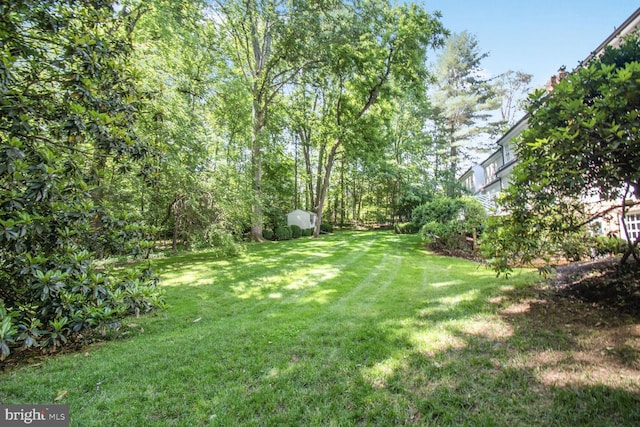 11801 Glen Mill Rd, Potomac, MD 20854 - view of green lawn