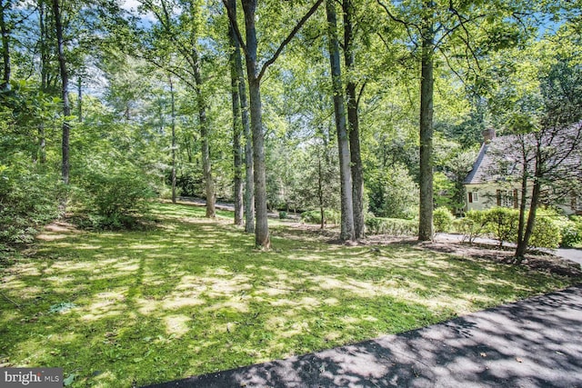 11801 Glen Mill Rd, Potomac, MD 20854 - view of green lawn