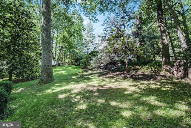 11801 Glen Mill Rd, Potomac, MD 20854 - view of grassy yard
