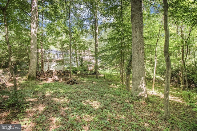 11801 Glen Mill Rd, Potomac, MD 20854 - view of yard