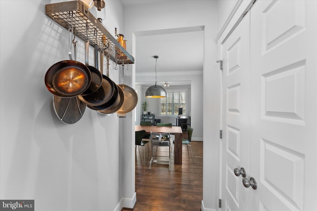 17968 Ridgewood Pl, Round Hill, VA 20141 - hallway featuring dark wood-style floors, baseboards, and ornamental molding