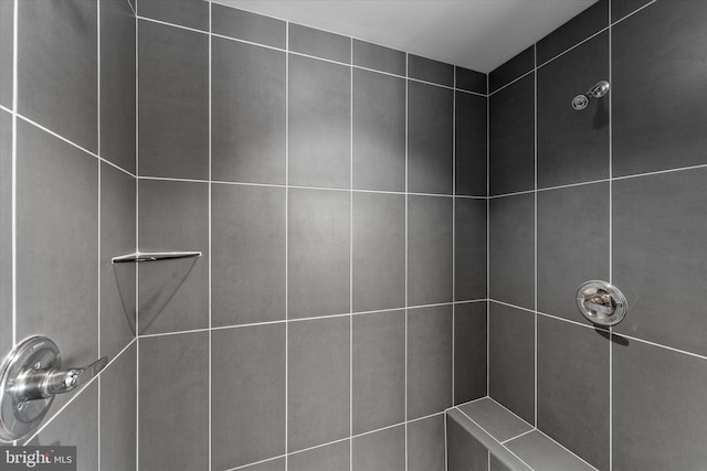 17968 Ridgewood Pl, Round Hill, VA 20141 - bathroom view of tiled shower