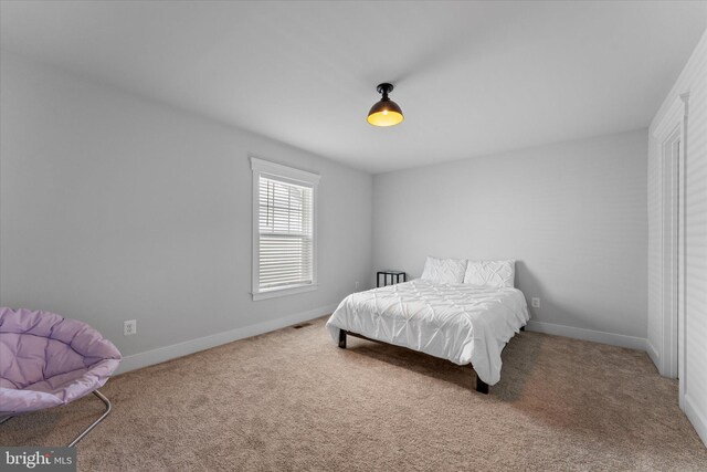 17968 Ridgewood Pl, Round Hill, VA 20141 - bedroom featuring carpet flooring and baseboards